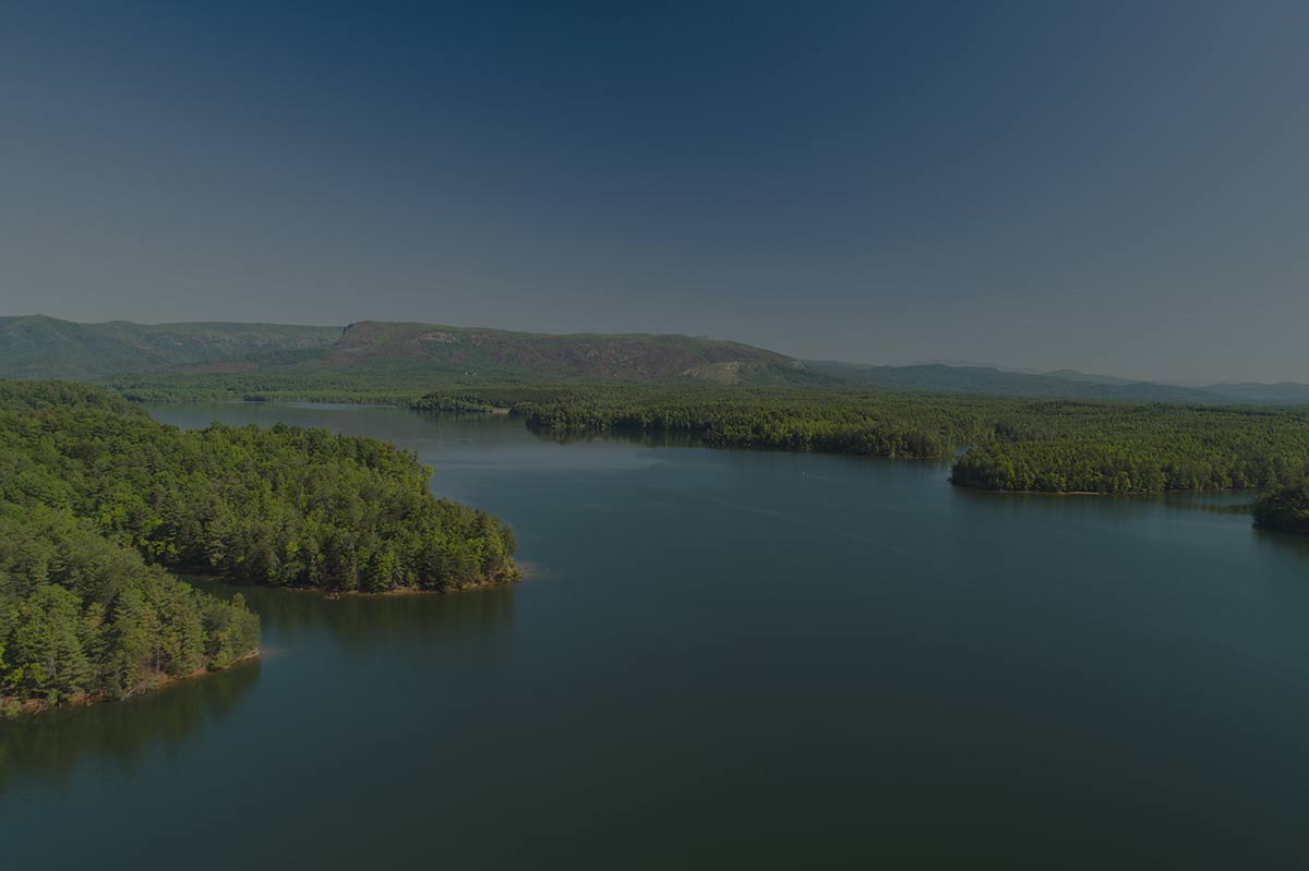 Aerial view of a wooded lake shoreline