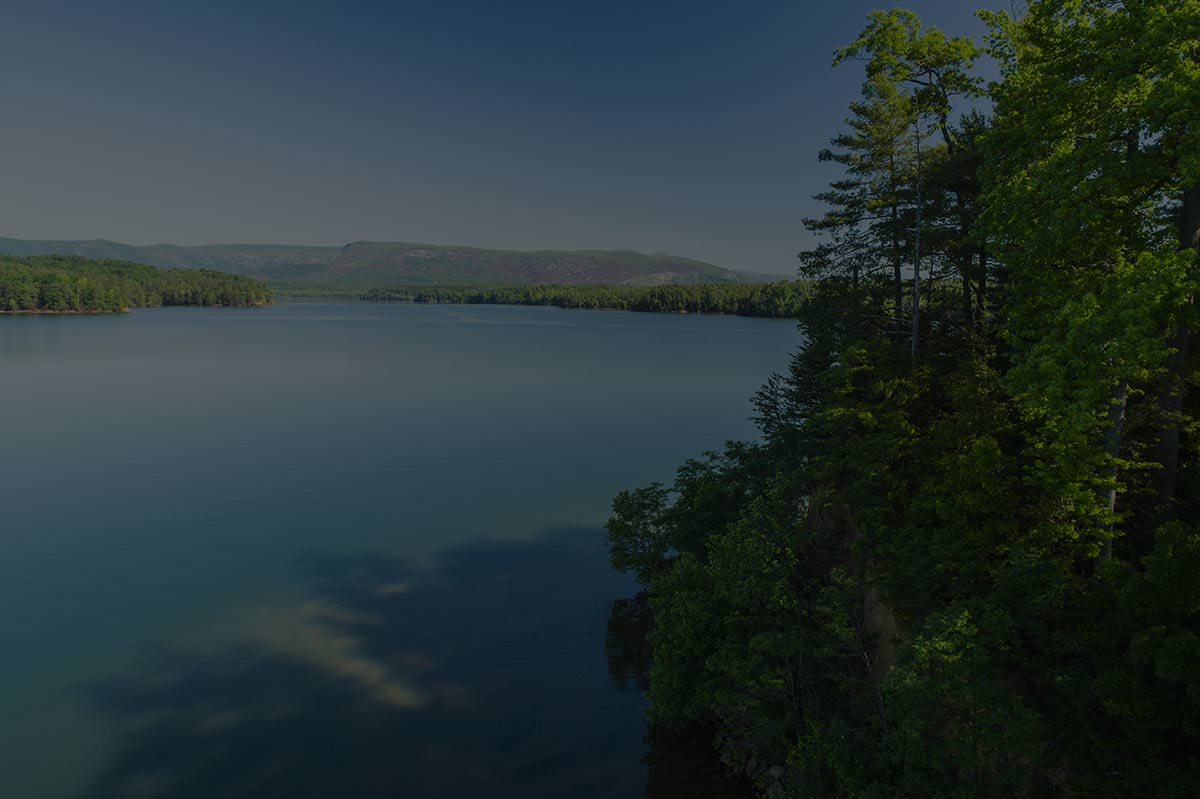 Lake with a forested shoreline